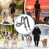 Doppelleine für 2 Hunde, Verwicklungsfrei, Um 360° Drehbar Hundeleine für 2 Hunde, Verstellbar, Stoßdämpfend, Reflektierend für Kleine, Mittlere und Große Hunde für Sicheres Gassi Gehen und Training
