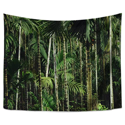 [KMBIGNK] �^�y�X�g���[ �Ǌ|�� ���i �ؘR����̐X ���R�B�e�p �t �唻�^�y�X�g���[ ���� ������� �J���[ �C���e���A �ǖʑ��� �Ǌ|�� �c���[ ���i�� �����z ���@�\ �z�|�X�^�[ �p�[�e�B�[ ���X 150*200cm ���� ���J�[�e�� �G�� 