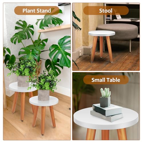 Supports pour plantes en bois naturel pour éviter les traces d'eau au sol