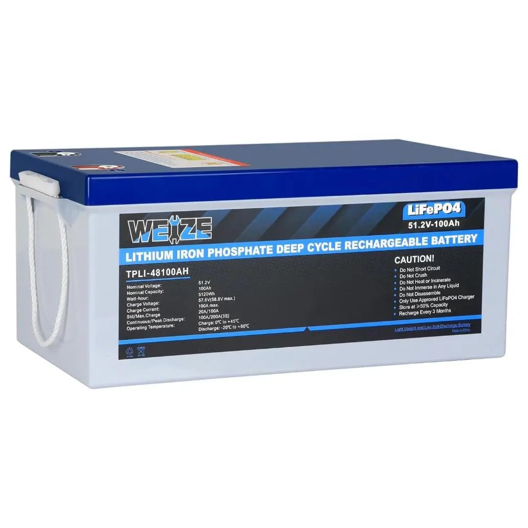 WEIZE 48V 100Ah LiFePO4 Lithium Battery, Built-in 100A BMS, Up to 8000 Cycles Rechargeable Battery Perfect for RV, Solar System, Marine, and Off Grid Applications