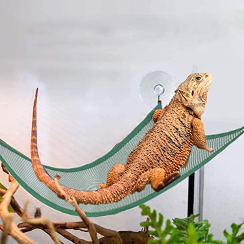 4 espreguiçadeiras de rede de répteis, rede de lagarto verde com ventosa forte triângulo barbudo esp
