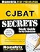 CJBAT Secrets Study Guide: CJBAT Practice Questions and Review for the Florida Criminal Justice Basic Abilities Test