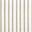 44 - Beige Stripes 2