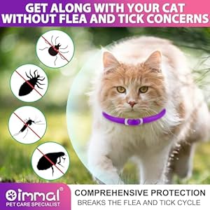 4 Pezzi Collare Antiparassitario Per Gatti, Collare Antipulci Gatto Sicuro ed Efficace Realizzato Con Oli Essenziali Naturali, Impermeabile Collare Antipulci e Zecche per Gatti, 24 Mesi (gattino) - immagine 2