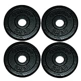 CanDo 10-0601-4 Iron Disc Weight Plate, 10 lb