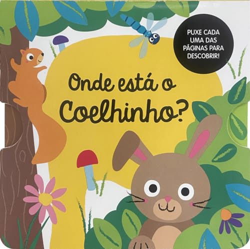 Onde está o Coelhinho?: