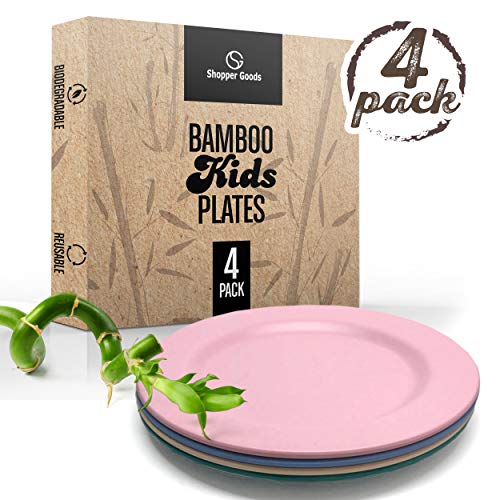 Best Plastic Plate For Kids