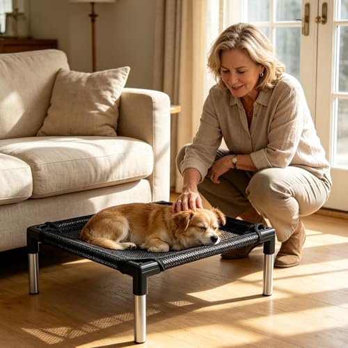 Cama elevada para perros exterior lavable tipo hamaca transpirable 7