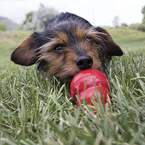 image for KONG Easy Treat Pepperoni - Spreadable Dog Treat Paste for Lick Mats -