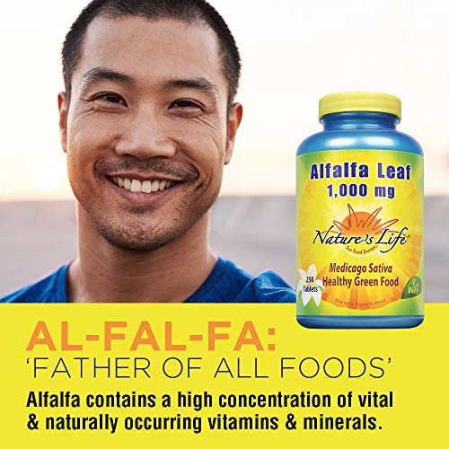 Nature's Life Alfalfa Leaf Tablets 1000mg Vitamin Rich Green Superfood NonGMO (250 CT