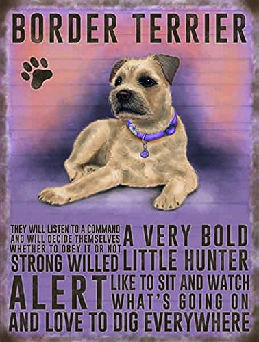 Vintage Style Retro Metal Sign Dog Lovers Owners Gift Tin Pedigree Dogs BORDER TERRIOR