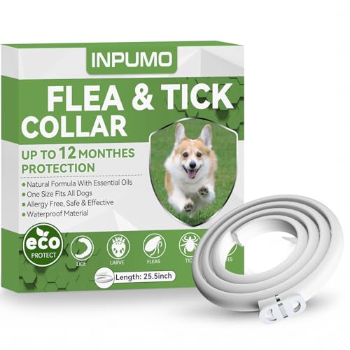 Collier Anti Puces pour Chien, Réglable Collier Antiparasitaire Chien 12 Mois, Naturel Imperméable Élimine Puces, Tiques, Poux, Essentielles 100% Naturelles...
