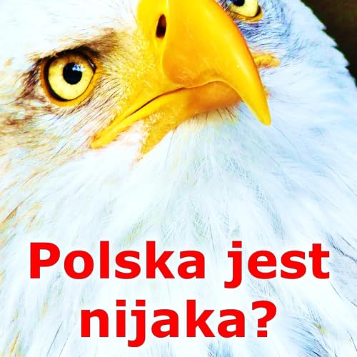 Co widzi świat, kiedy patrzy na Polskę? (Episode 69) - My English Podcast