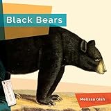  Black Bears