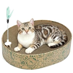 Cat Scratcher Cardboard 2in1 Oval Cat Scratcher Bed for Indoor Cats Cat Scratch Pad Bowl with Scratching Toy Corrugated Lounge Bed&Furniture Protector &Training Toy XL（Green）