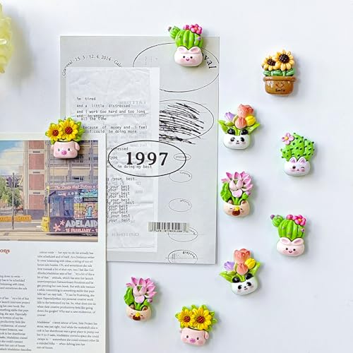 12 imanes decorativos de cactus y flores para refrigerador miniatura 3