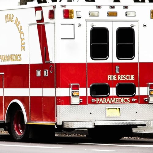 Crystal Lake woman, 25, dies after single-vehicle crash in Hoffman Estates