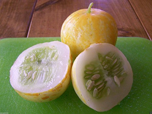 Lemon Cucumber Seed Boston Pickler