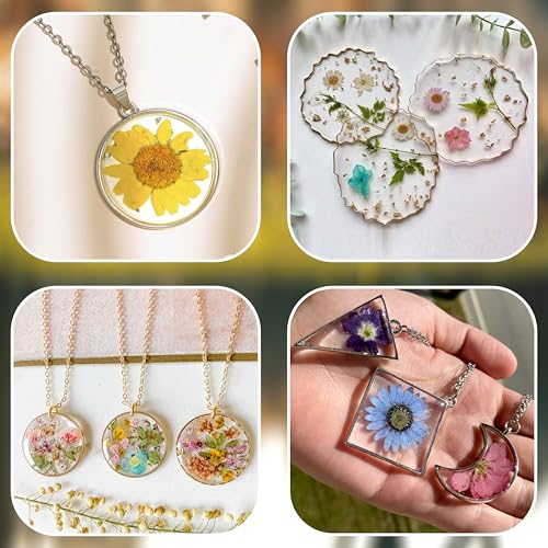 Image of Dried Pressed Real Flowers Colorful Natural Dried Flowers Daisies for Candles Handmade Art & Crafts Epoxy DIY Resin Pendant Jewellery Gifts Accessories Nail Art - Pack of 40 Flowers