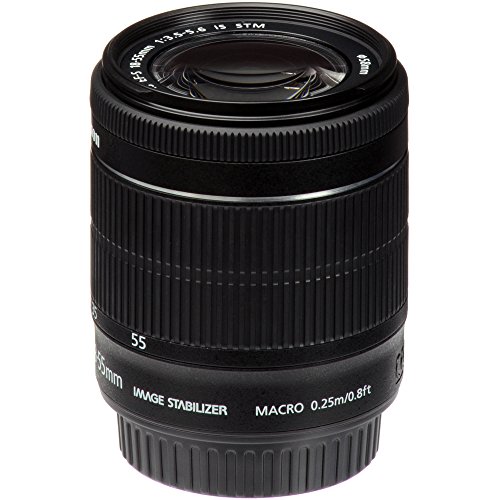Canon EF-S 18-55mm f/3.5-5.6 is STM Lens + Filter Set + Close Up Macro Filters + Wide Angle Lens + Telephoto Lens + Pro Accessory Bundle - 18-55mm STM: International Version (No Warranty)