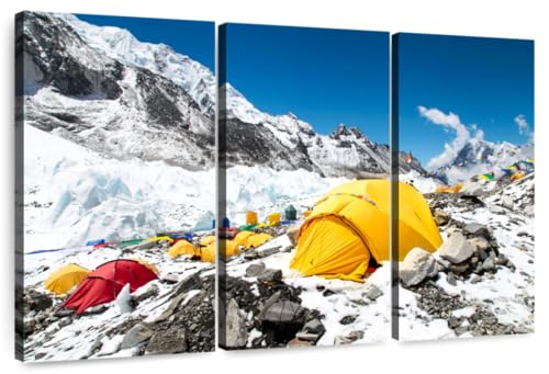 Elephant Stock - Mount Everest Base Camp Tents Wall Art...