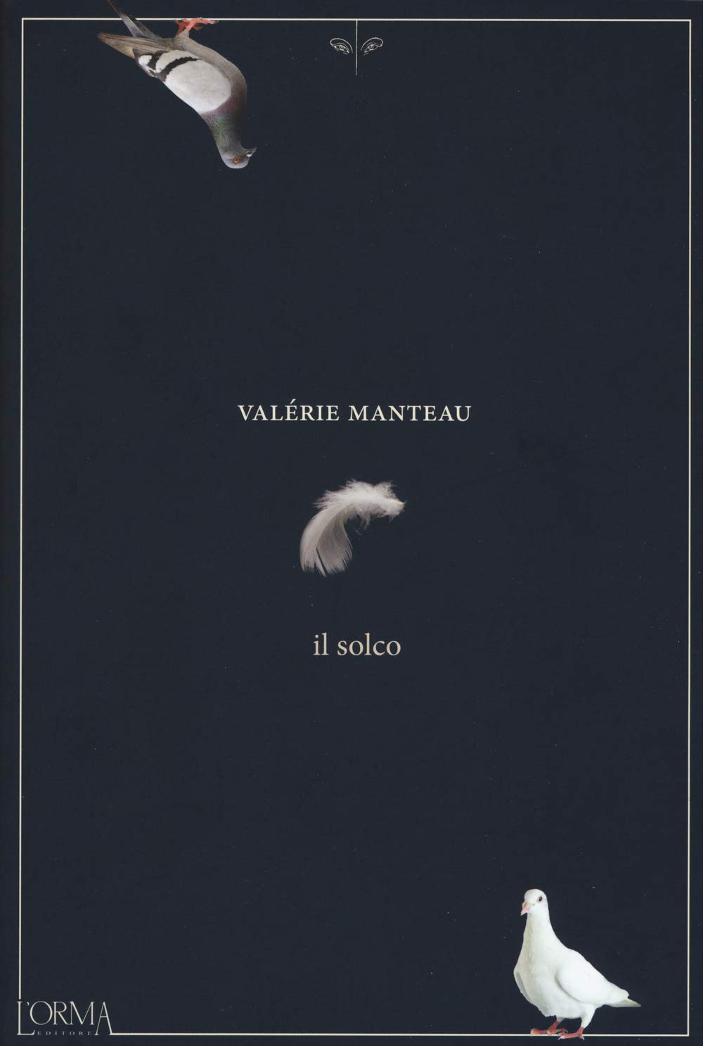 Il Solco - 4