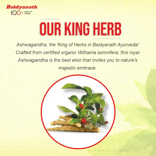 Technical Details - Image 5