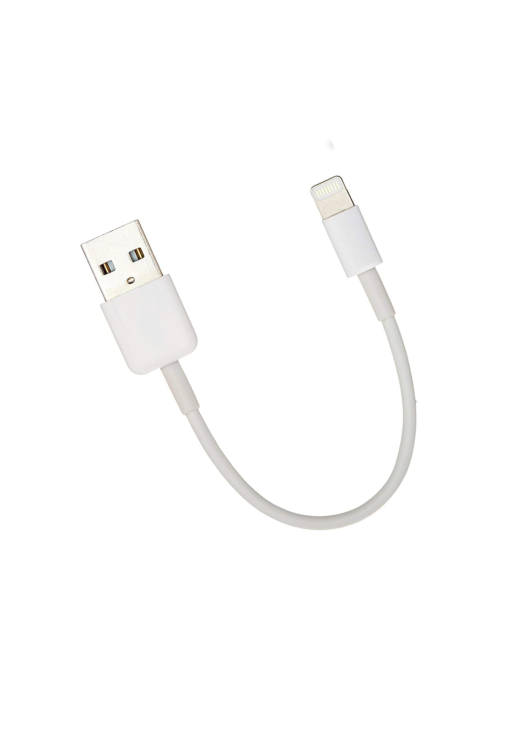 Parandiv Branded Short Length 2.4A Faster Charging 0.25M with Data Sync Power Bank Lightning Cable For iPhones,iPad Air,iPad Mini,iPod Nano,iPod Touch(white,Pack Of 1)-iPhone Lightning Powerbank Cable (B0BR5YZGHK) Amazon Price History, Amazon Price Tracker