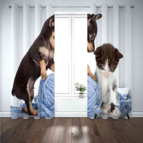 Rideau occultant chiot et chat isolant thermique pour chambre 264x160cm