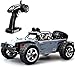 TOZO C5031 RC CAR Desert Buggy Warhammer High Speed 30MPH+ 4x4 Fast Race Cars 1:12 SCALE RTR Racing 4WD ELECTRIC POWER 2.4GHz Radio Remote control Off Road Truck Powersport Gray