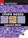 Lymph Nodes (Cambridge Illustrated Surgical Pathology)