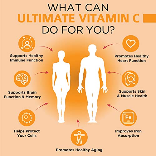Omnibiotics Ultimate Vitamin C 2000 Mg With Full Servings Of Zinc, Elderberry, & Vitamin D3 - Advanced Immune Support & Antioxidant Supplement - 120 Vegan Tablets #TOP4