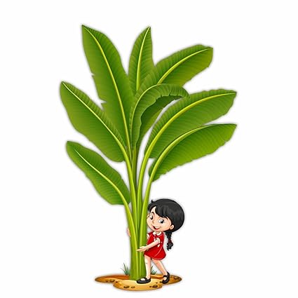 KREEPO Happy Girl Under Banana Treee Wall Sticker PVC Vinyl for Kids Room Decorative Multicolor Size(70CM X 44.8CM)