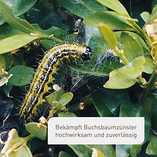 Plantura Xentari Raupenfrei & Zünslerfrei gegen Buchsbaumzünsler & Schadraupen, extrem wirksames & biologisches Spritzmittel, Nicht bienengefährlich, 8 x 2g Portionsbeutel