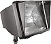 RAB Lighting FFH70/PCS Future Flood 70W Mh 120V NPF Lamp, Bronze