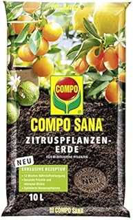 COMPO SANA® Citrus Potting Soil - Special High-Quality Earth for Tropical and Hardy Citrus Plants - 10 litres