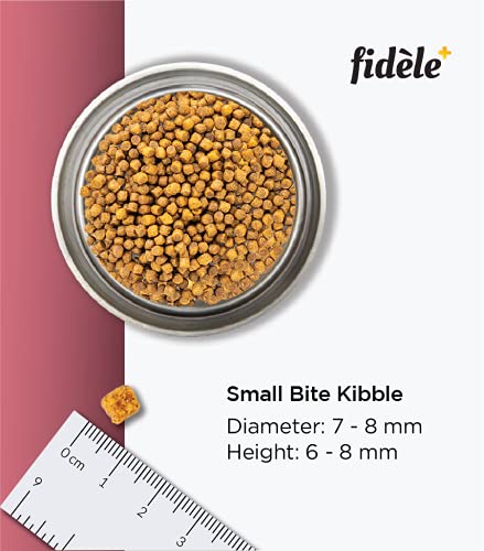 Image of Fidele+ Dry Dog Food | Balanced Nutrition for Dogs | Boosts Growth, Energy, Joints & Immunity | No Artificial Flavours or Preservatives (1 KG, Small & Medium Puppy)