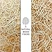NestNova™ Aspen Excelsior, 2 lb Box of USA-Grown Aspen Fiber. Eco-Friendly Material for Chicken coops, Small pet Bedding, Crafts, and Gift Baskets. Biodegradable and Hand Packed. 3 Boxes (6 lbs)