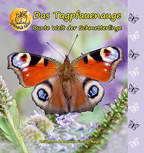 Bunte Welt der Schmetterlinge: Das Tagpfauenauge