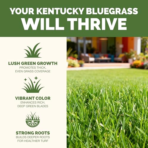 Fertilizante líquido para césped Kentucky Bluegrass 8 oz miniatura 2