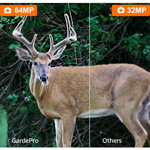 GardePro A3S Trail Camera (Non-Cellular, Non-WiFi), Enhanced Low-Light Performance, 64MP Photo & 1296P HD Video, 0.1s Trigger, 100ft No-Glow Night Vision, Motion Activated Wildlife Camera by GardePro - Image 3