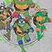 Teenage Mutant Ninja Turtles Ninja Turtles Boys Crewneck Sweatshirt - Leonardo, Raphael, Donatello, Michelangelo, Splinter Embroidered Sleeve Patches Mens Shirt (Grey, 14/16)