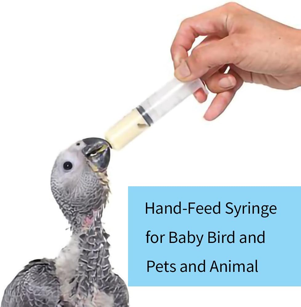 Plastic Syringe 5 Pack for Scientific Lab Measuring Tool Glue Lipgloss Liquid Jello Shot DIY Dispensing Feeding Pets (20ML, 5)