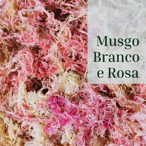 Musgo Sphagnum 40g Substrato Natural para Orquídeas Plantas Carnívoras e Decoração Alta Absorção e P