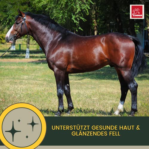 Sojaschrot Pferd - Aufbaufutter Pferd mit Vitamin E Aminosäuren B-Vitamine 6Kg Zusatzfutter Muskelaufbau Soja Protein Pulver für Gewichtszunahme I Weight Gainer Zunehmen bei Untergewicht