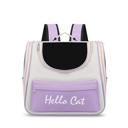 ybgL[obO e bN^Cv Lp p ʋC FDJvZfUC oEsp gѕ֗ p[v