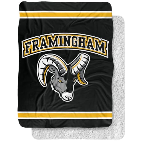Framingham State Blanket, 60"x80" Primary Stripes Sherpa Super Soft Throw