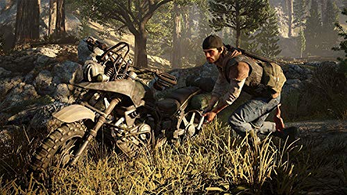 Opiniones y reviews de Juego days gone los 10 mejores. 5 Opiniones y reviews de Juego days gone los 10 mejores. 5