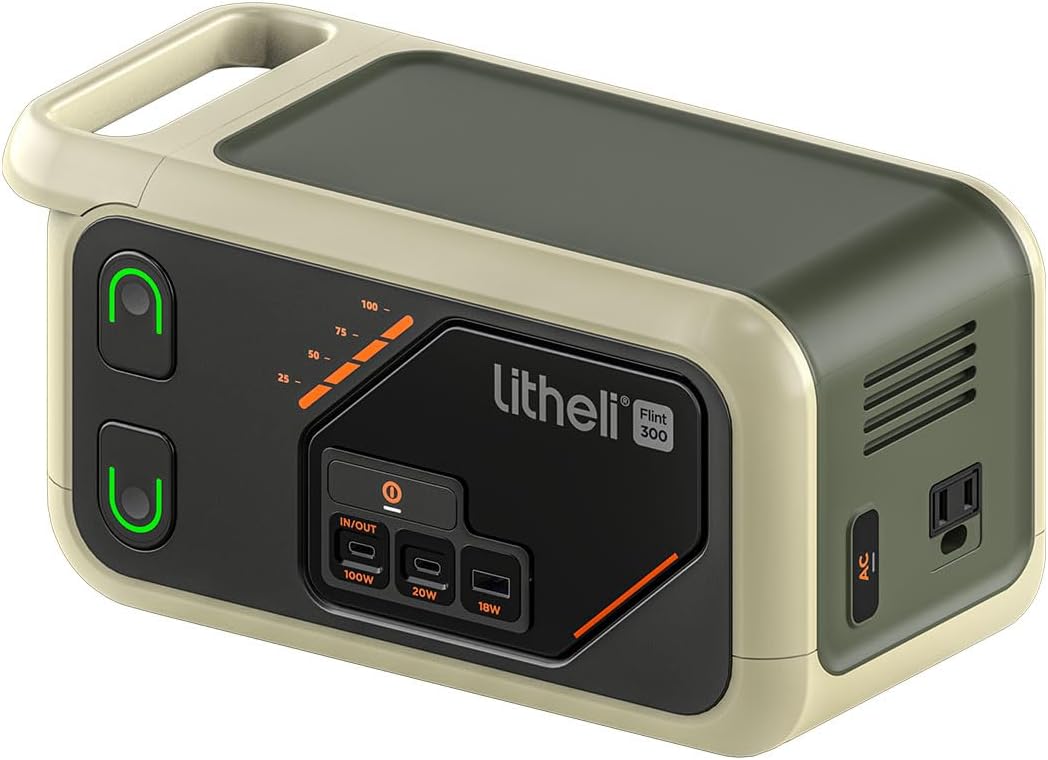 Litheli Moveable Energy Station 300SE, 255Wh with 100W USB-C Enter/Output, 110V Pure Sine Wave AC Outlet, Photo voltaic Generator for Tenting, Journey, Outdoor, Emergency, LED Show