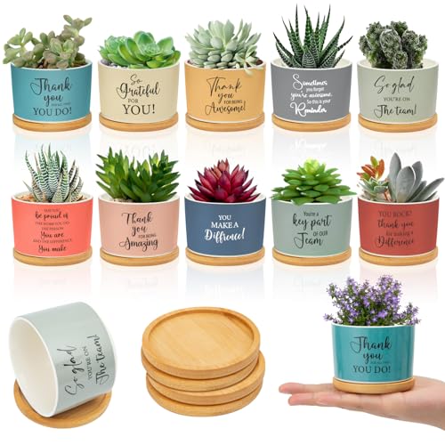 10 Pcs Thank You Gift Appreciation Gift Succulent Pots Mini Ceramic Plant Pot with Bamboo...